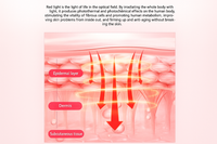Red Light Therapy Capsule Built for Full Body Sessions, Medical-Grade LEDs, Clamshell Design, Touch Control